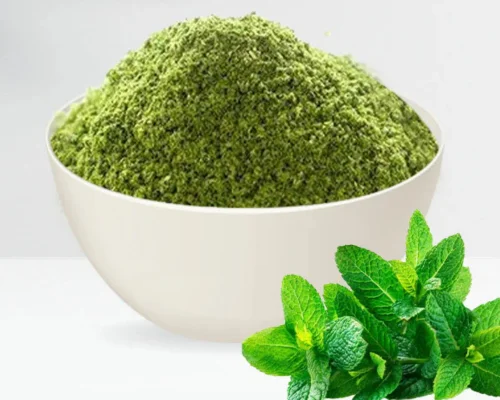 Dehydrated Mint Powder